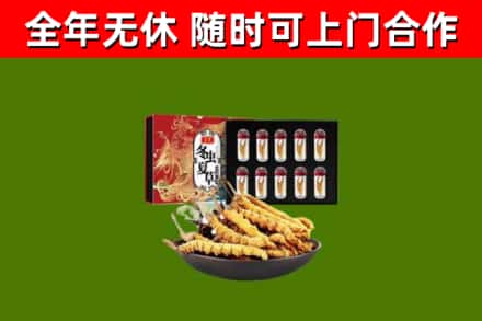 邱县回收冬虫夏草价格