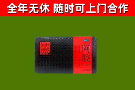 邱县回收阿胶